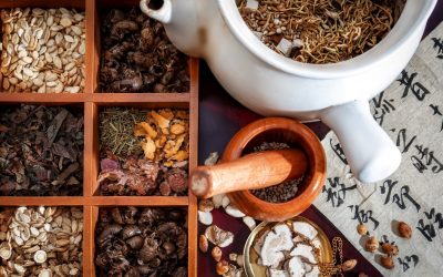 Inside the TCM Herbal Bath at Spacio: TCM Herbs for Modern Healing